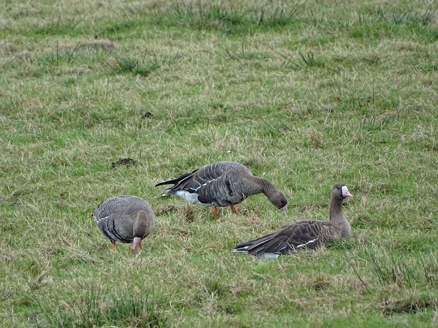 战术调整 战术调整