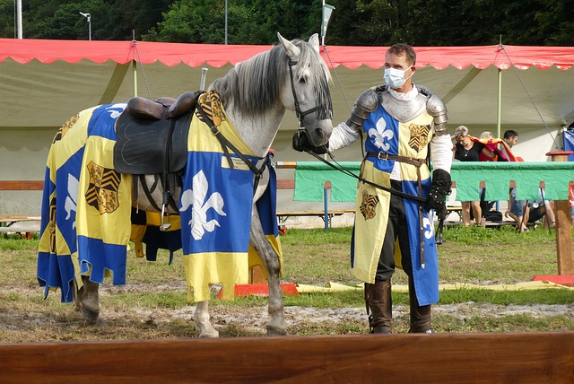 这种双赢的 这种双赢的