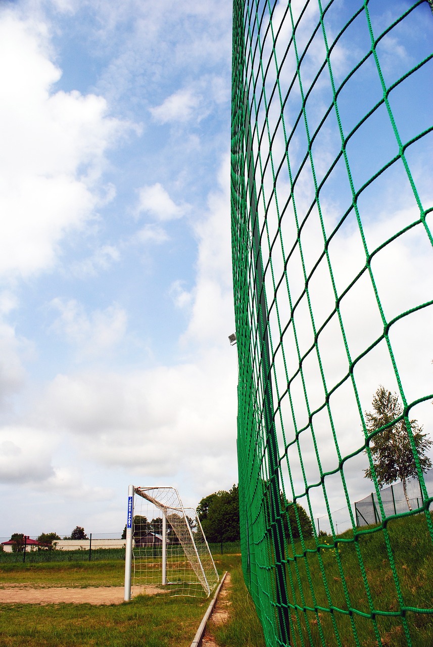 正式激活老 正式激活老