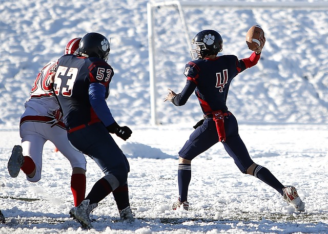 已取得中国 已取得中国